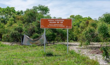 Prefeitura de Aracaju atualiza decreto que regulamenta a Reserva Extrativista das Mangabeiras